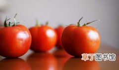 西红柿保鲜储存方法 西红柿保鲜储存方法是什么