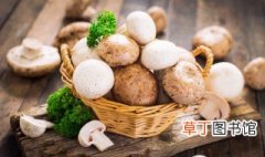 干蘑菇的储存方法 干蘑菇的保存方法