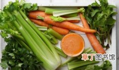 广东三月份种什么菜合适 广东三月适合种什么蔬菜