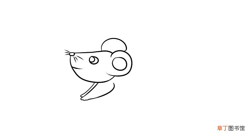 老鼠运动简笔画怎么画老鼠运动简笔画画法