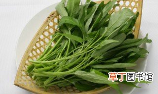 广东农历七月可以种什么菜 广东七月份可以种什么蔬菜