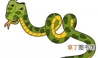 梦见三条大蟒蛇是什么意思 梦见三条大蟒蛇的寓意