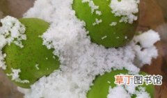 青杏的腌制方法 青杏的腌制方法介绍