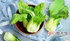上海三月份种什么蔬菜 3月份上海宜种什么蔬菜