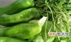 八月份能种什么菜蔬菜东北 东北8月份能种什么蔬菜