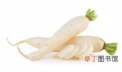 广州5月份种什么蔬菜，广州这个季节适合种什么蔬菜