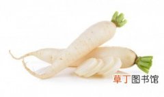 上海市5月份适应种什么蔬菜，上海地区适合种什么蔬菜