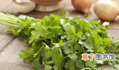 九月种植什么蔬菜青菜北京，九月底种植什么蔬菜