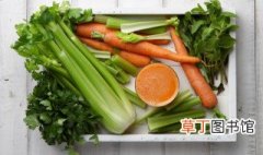 广东9月份种什么蔬菜 广东9月份种什么蔬菜最好
