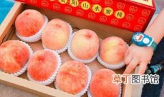 阳山水蜜桃怎么吃 阳山水蜜桃的吃法