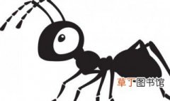 蚂蚁可以举起自身多少倍的重量 关于蚂蚁可以举起自身多少倍的