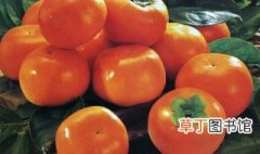 甜柿怎么吃 甜柿的吃法