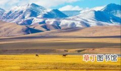 青藏高原海拔 关于青藏高原简介