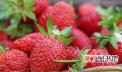 草莓生长环境 草莓在什么地方生长