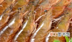 虾在清水里可以养多久 对虾放在清水里面养能成活吗