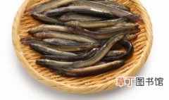 泥鳅火锅最好吃的做法 怎样做泥鳅火锅
