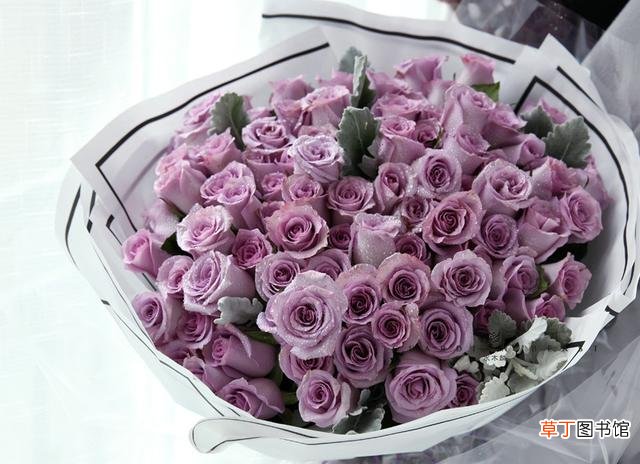 玫瑰花都有哪些花语 玫瑰不同颜色品种的花语是什么
