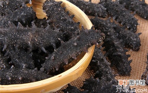 海参有什么功效 海参的食用方法是什么？