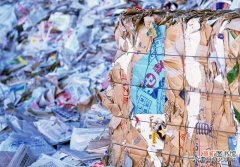 常见的可回收垃圾 生活中哪些垃圾可以回收