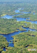 热带雨林气候地区分布 热带雨林气候有什么特点