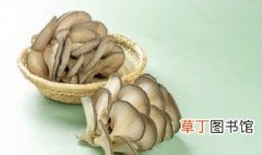 蘑菇青菜的做法 蘑菇青菜怎么做