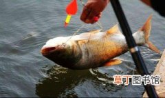 最新徐州野钓鱼的地方 徐州哪里可以野钓