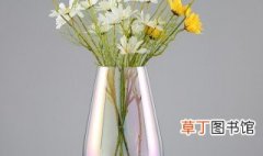 花瓶的寓意和象征 有关花瓶的寓意介绍