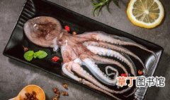 烤章鱼足怎么做好吃 烤章鱼足的做法