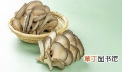 炒青菜蘑菇的制作方法的做法 炒青菜蘑菇怎么做