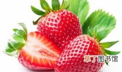大棚草莓几月份种植最好 几月份种草莓最合适