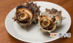 爆炒海螺的做法 爆炒海螺的烹饪方法