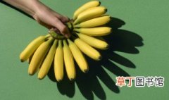 苹果蕉和普通香蕉的区别 关于苹果蕉和普通香蕉的区别