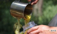 喝蜂蜜水起什么作用 经常喝蜂蜜水的好处