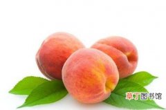 桃子属于凉性水果吗 桃子属于寒性水果吗