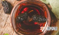 桑椹干泡酒的制作方法和步骤，干桑葚酒的泡制制作方法