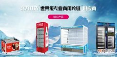 商用冷柜哪个牌子好 十大商用制冷设备冷柜品牌