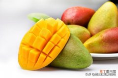 吃芒果有哪些禁忌 芒果可以放冰箱冷藏保鲜吗