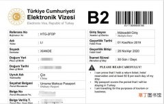 2022土耳其电子签证样本 土耳其办理签证攻略