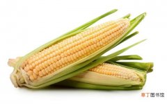 玉米对人身体的好处 玉米的热量是多少大卡