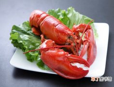 龙虾5种最简单的做法让你豪迈大吃