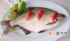 武昌鱼怎样做好吃 红烧武昌鱼的做法