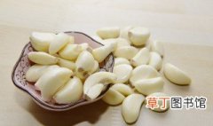 天津腊八蒜腌制 天津腊八蒜腌制方法