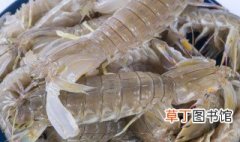皮皮虾蒸多久才熟 制作蒸皮皮虾的时间