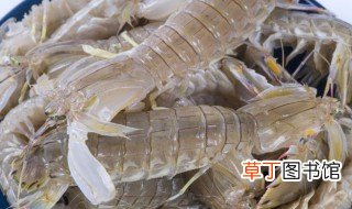 皮皮虾蒸多久才熟 制作蒸皮皮虾的时间