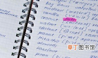 diary是什么意思中文 diary的中文意思是什么