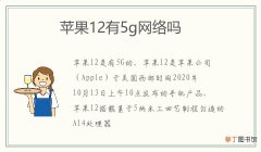 苹果12有5g网络吗