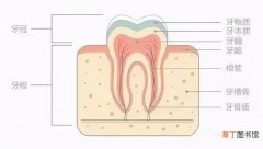 常见的美白牙齿的方法 为什么牙齿会发黄