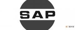 sap,logon是什么软件