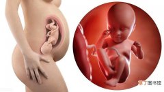 怀孕6个月胎儿会有哪些技能 怀孕6个月四维彩超