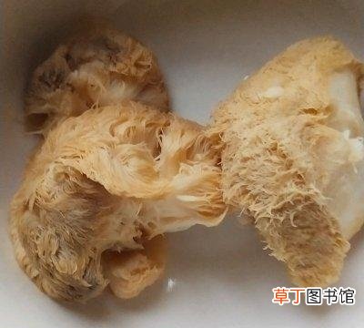 炒猴头菇的做法教程 猴头菇怎么做最好吃